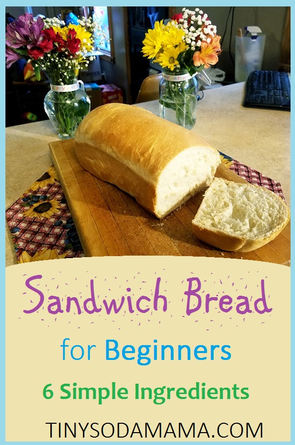 Easy Sandwich Bread Beginners Pinterest